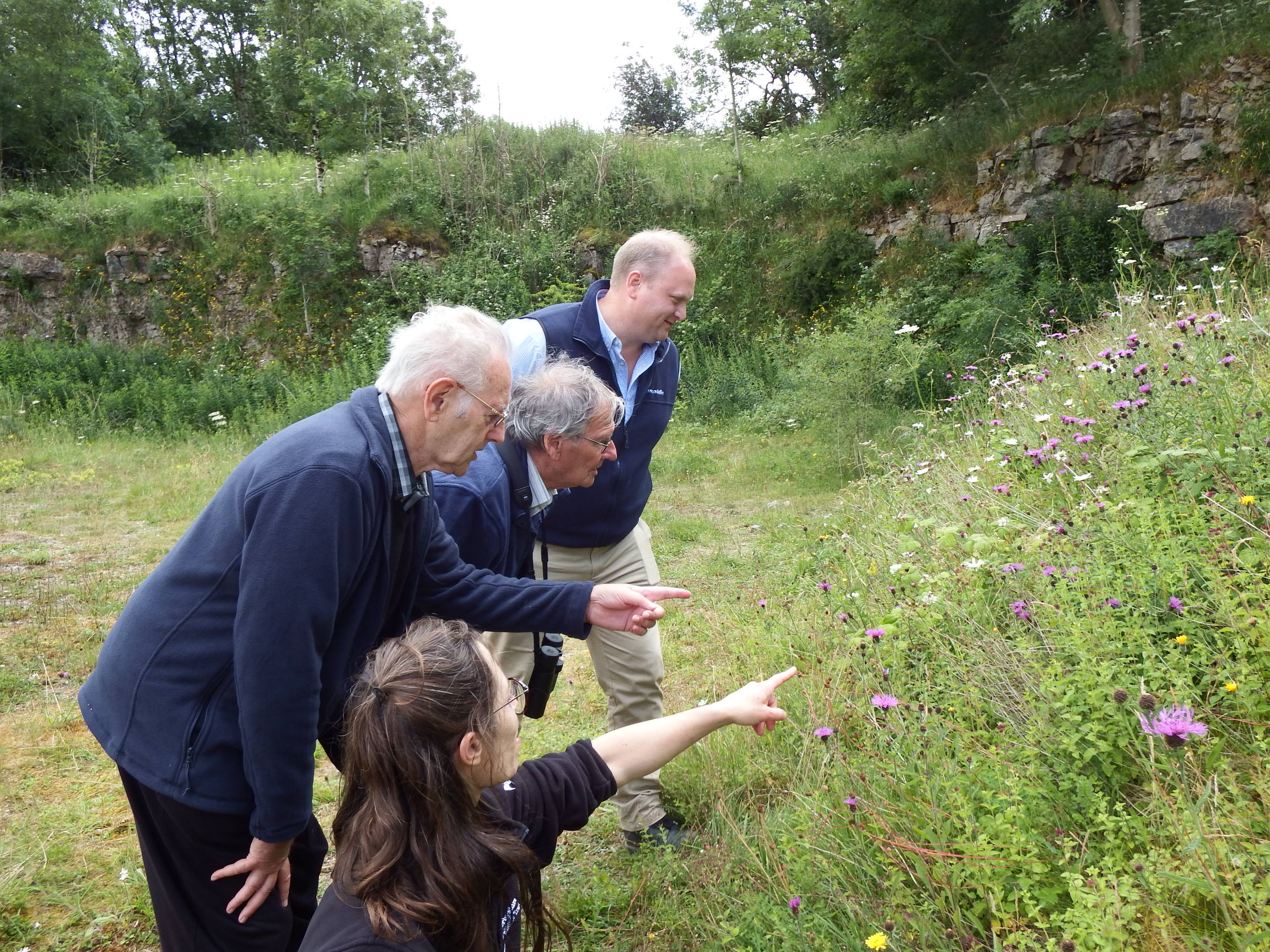 Searching for butterflies