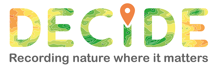 image showing the decide logo