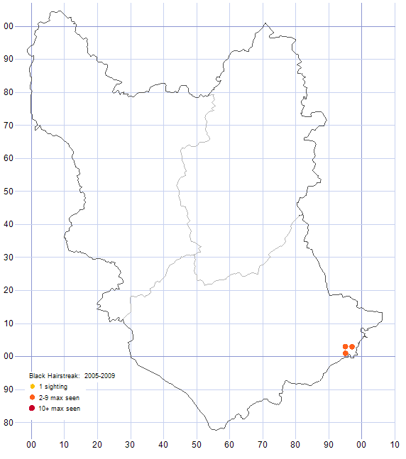 Black Hairstreak distribution map 2005-09