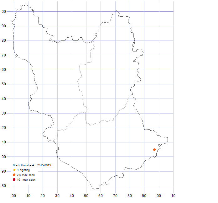 Black Hairstreak distribution map 2015-19