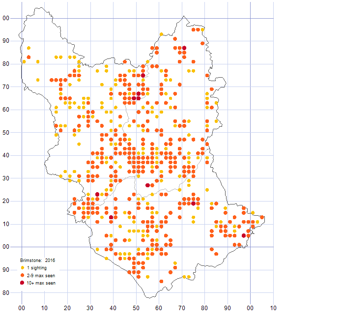 Brimstone distribution map 2016