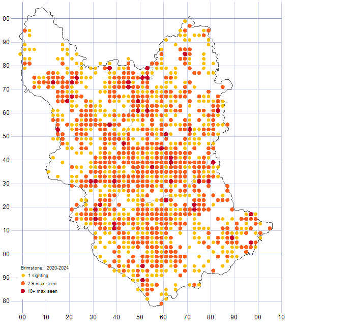 Brimstone distribution map 2020-24