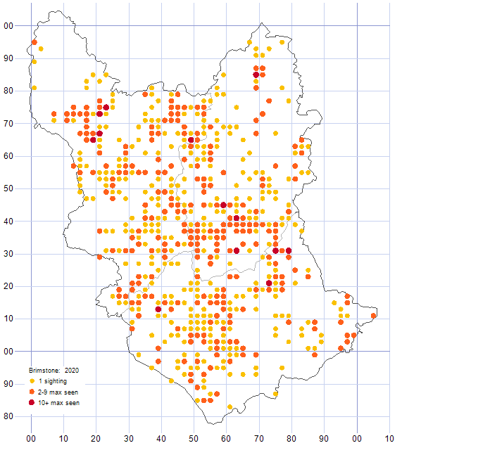 Brimstone distribution map 2020