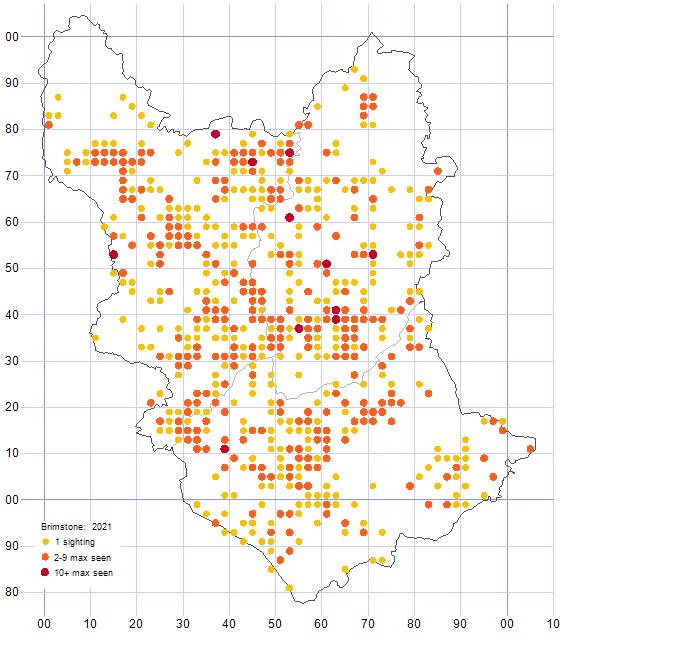 Brimstone distribution map 2021