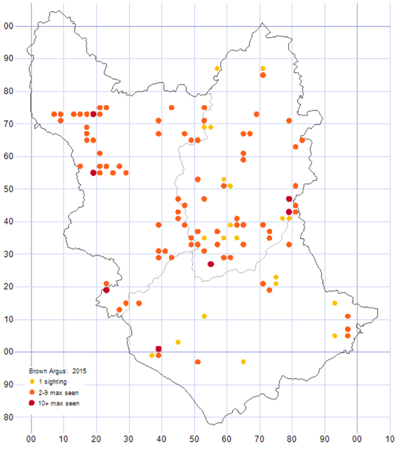 Brown Argus distribution 2015