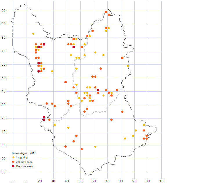 Brown Argus distribution map 2017