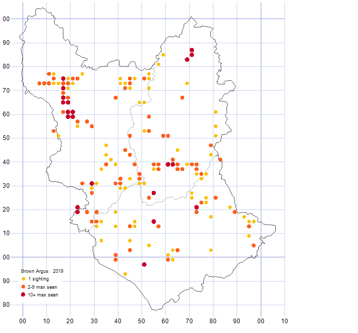 Brown Argus distribution map 2019