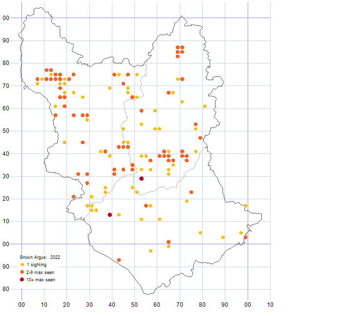Brown Argus distribution map 2022