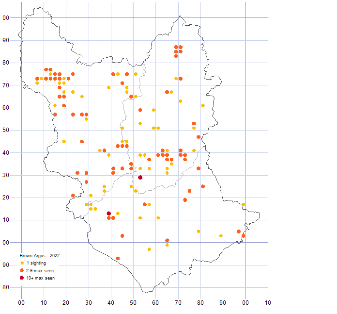 Brown Argus distribution map 2022