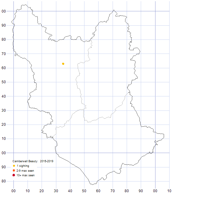 Camberwell Beauty distribution map 2015-19