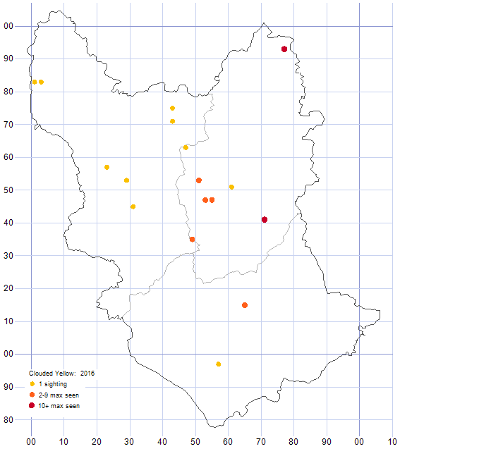 Clouded Yellow distribution map 2016