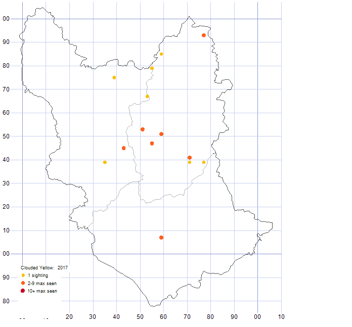 Clouded Yellow distribution map 2017