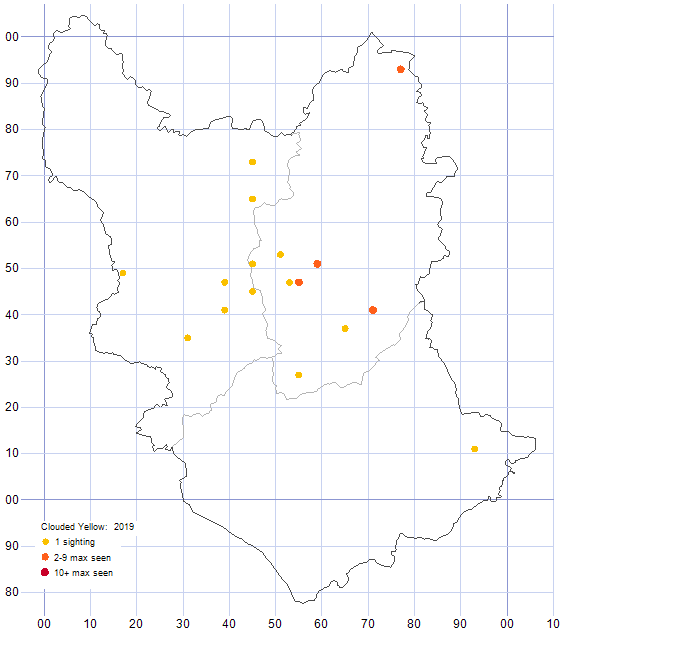 Clouded Yellow distribution map 2019