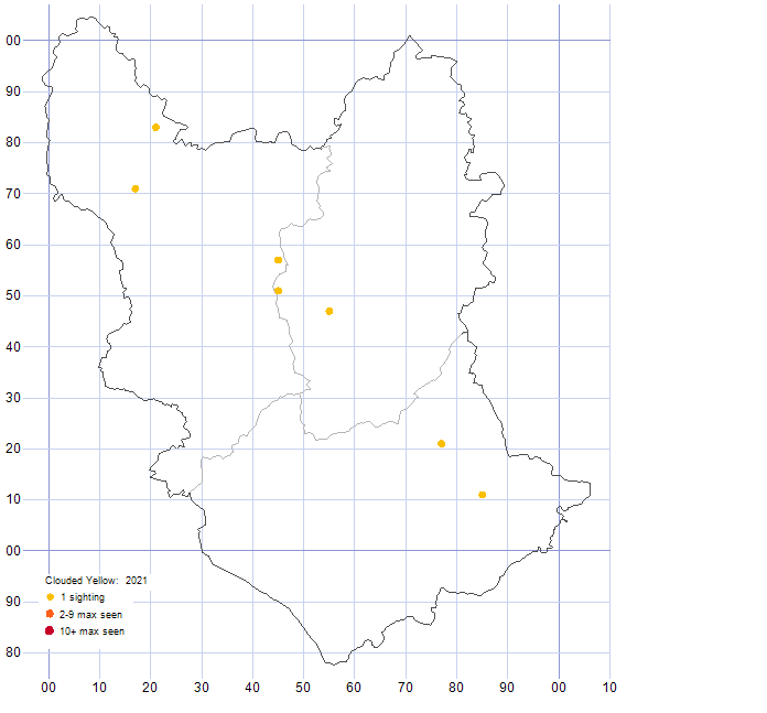 Clouded Yellow distribution map 2021