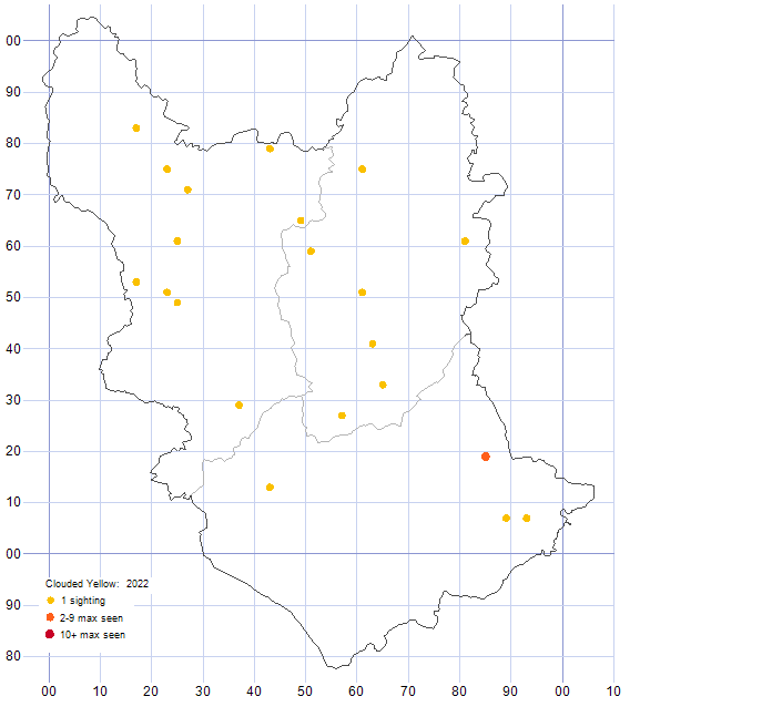 Clouded Yellow distribution map 2022