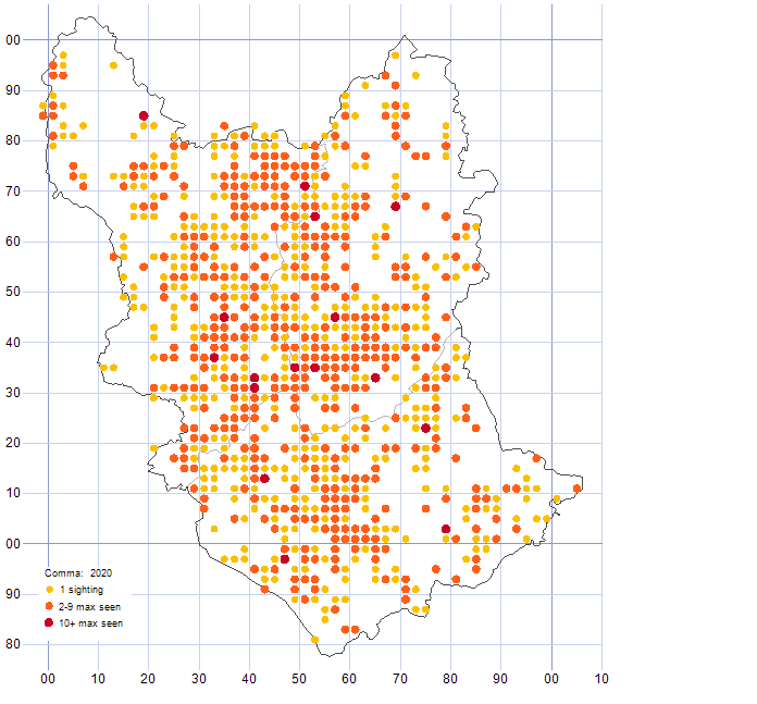 Comma distribution map 2020