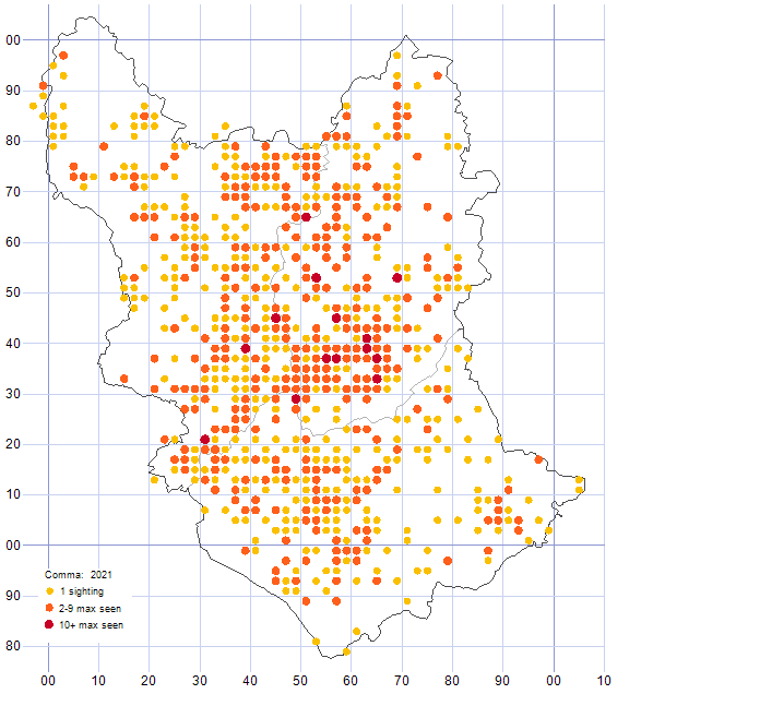 Comma distribution map 2021