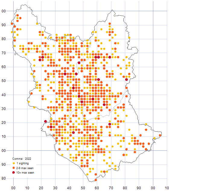 Comma distribution map 2022