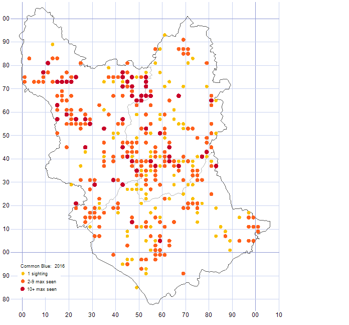 Common Blue distribution map 2016