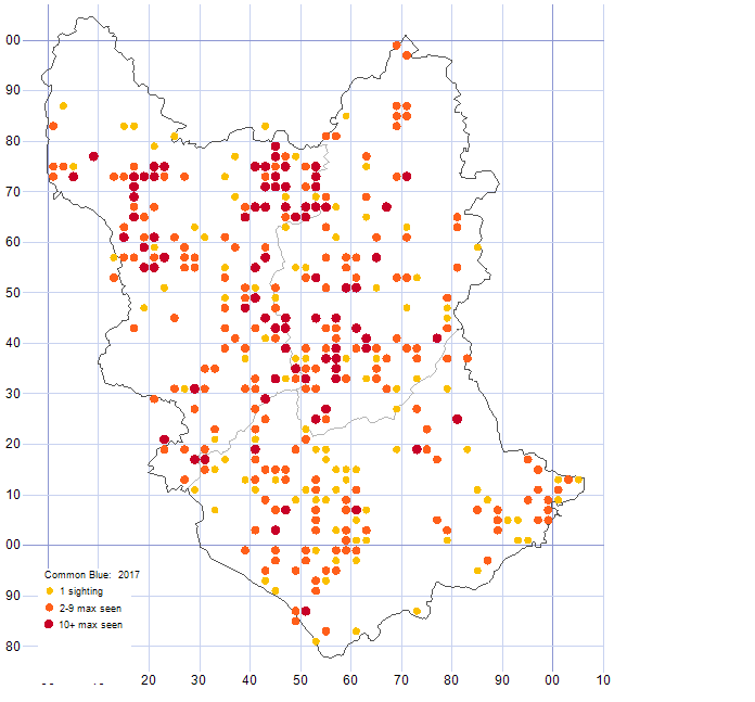 Common Blue distribution map 2017