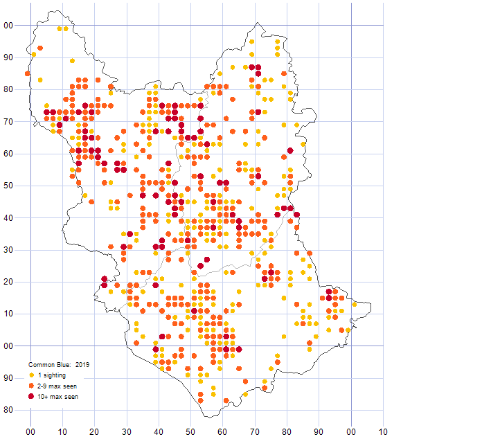 Common Blue distribution map 2019