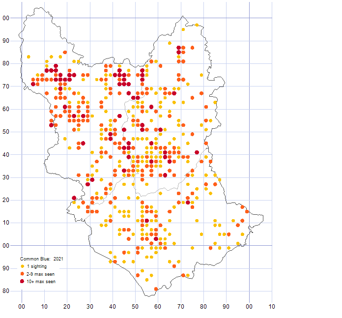 Common Blue distribution map 2021