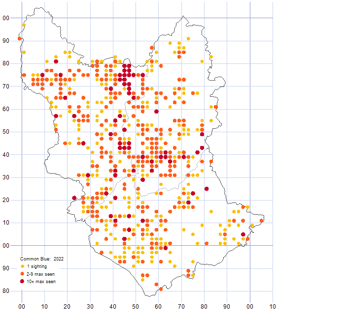 Common Blue distribution map 2022