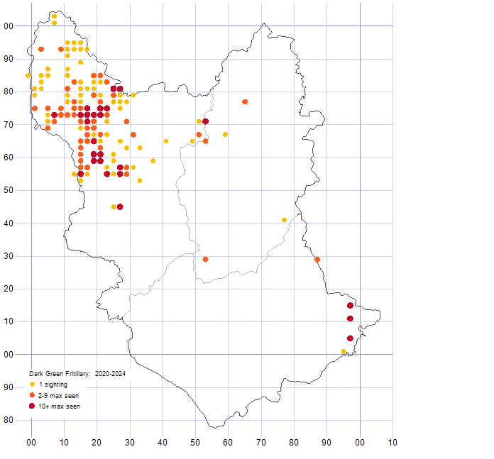 Dark Green Fritillary distribution map 2020-24