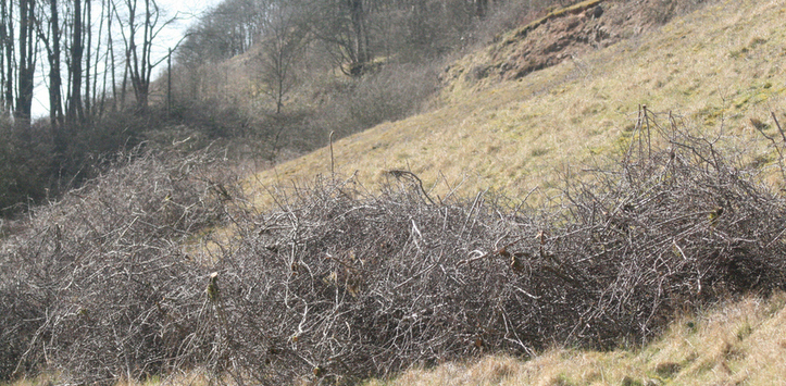 Image of Longstone Edge