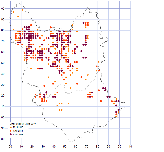 Dingy Skipper distribution map comparison of 2005-19