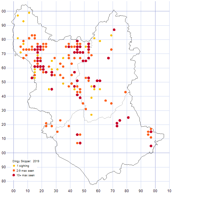 Dingy Skipper distribution map 2019