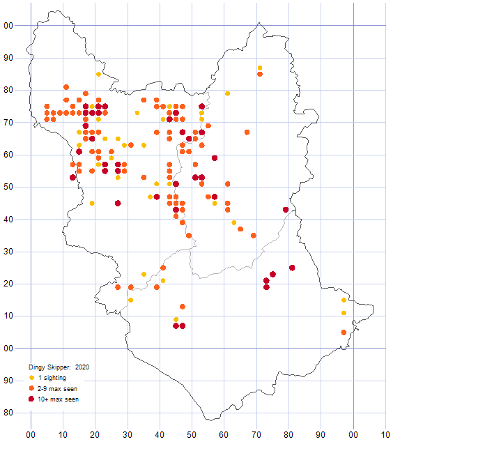 Dingy Skipper distribution map 2020