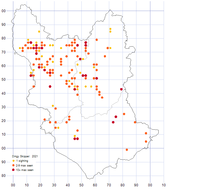 Dingy Skipper distribution map 2021