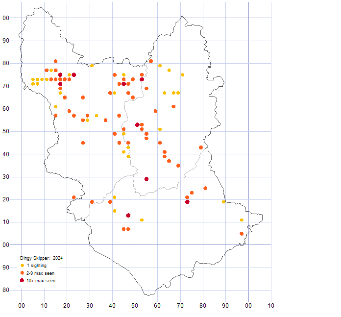 Dingy Skipper distribution map 2024