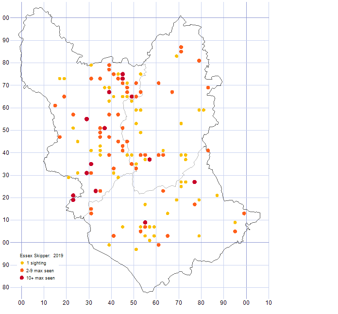 Essex Skipper distribution map 2019