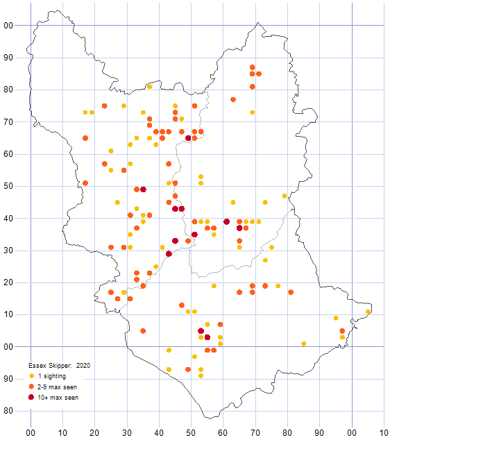 Essex Skipper distribution map 2020