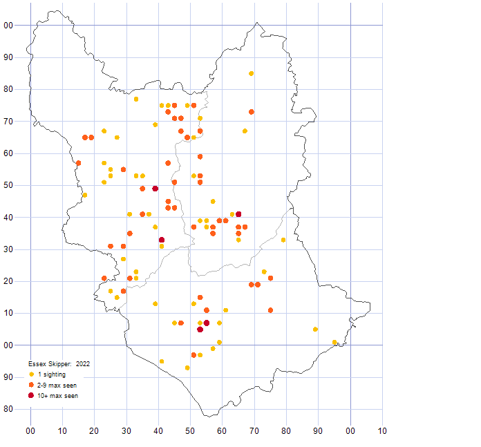 Essex Skipper distribution map 2022