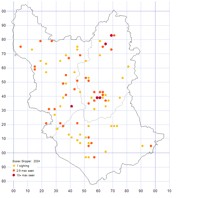Essex Skipper distribution map 2024