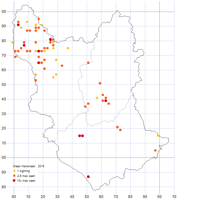 Green Hairstreak distribution map 2016
