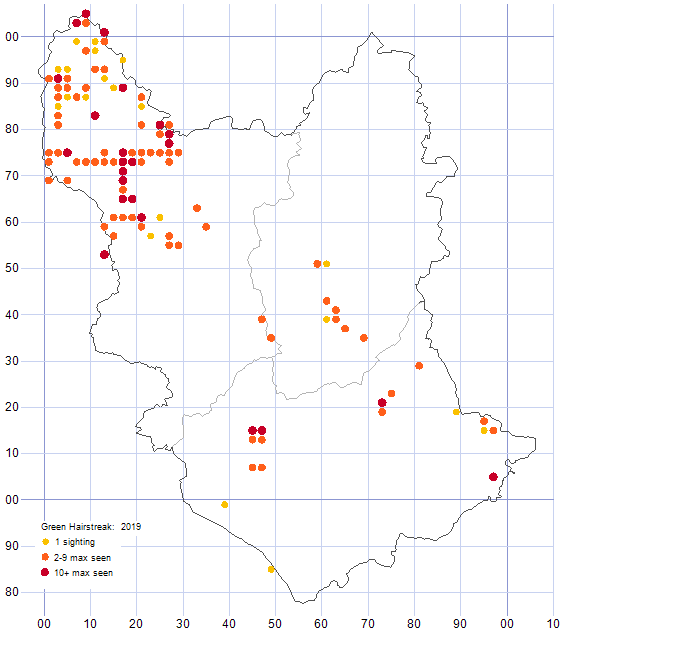 Green Hairstreak distribution map 2019