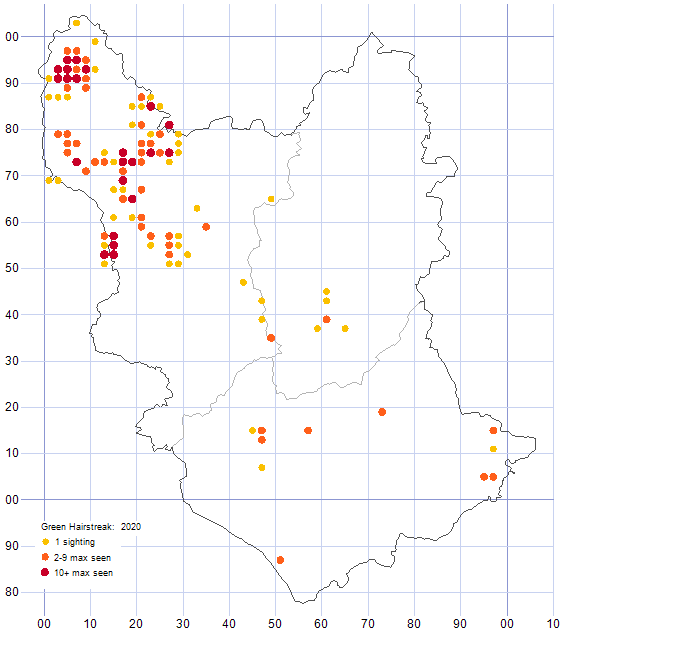 Green Hairstreak distribution map 2020