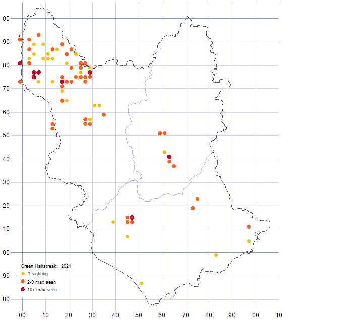 Green Hairstreak distribution map 2021