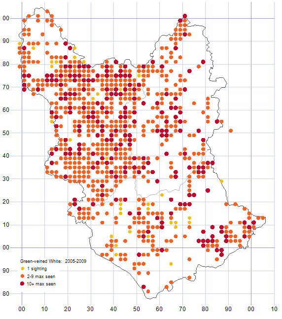 Green-veined White distribution map 2005-09