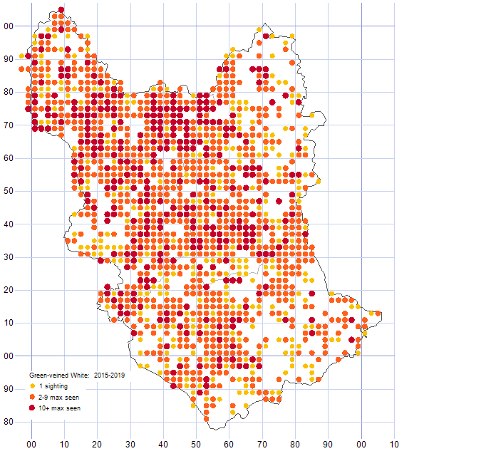 Green-veined White distribution map 2015-19