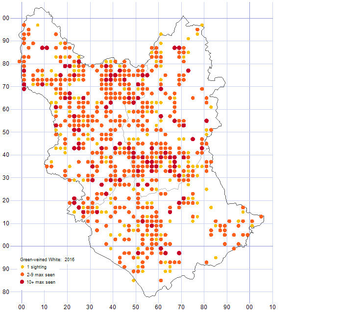 Green-veined White distribution map 2016