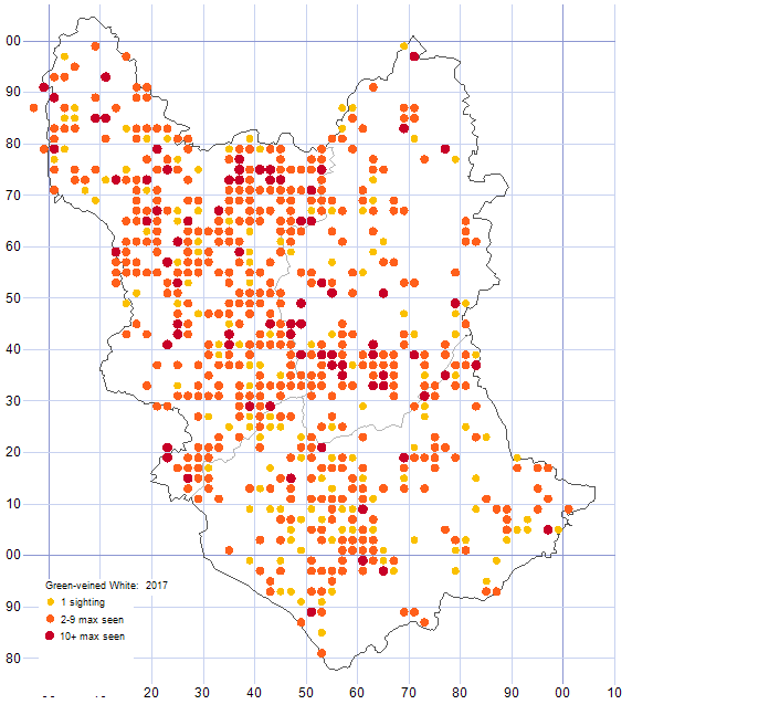 Green-veined White distribution map 2017