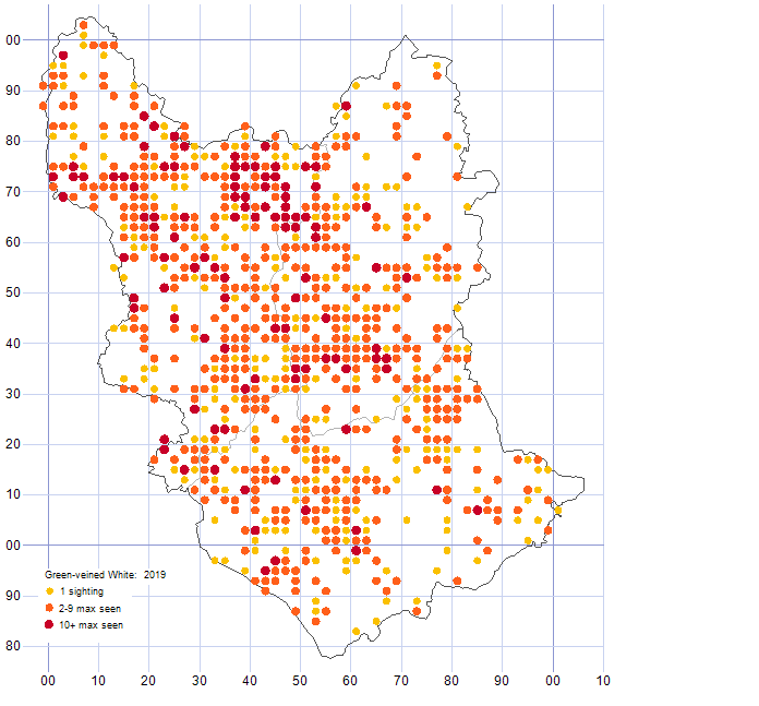 Green-veined White distribution map 2019