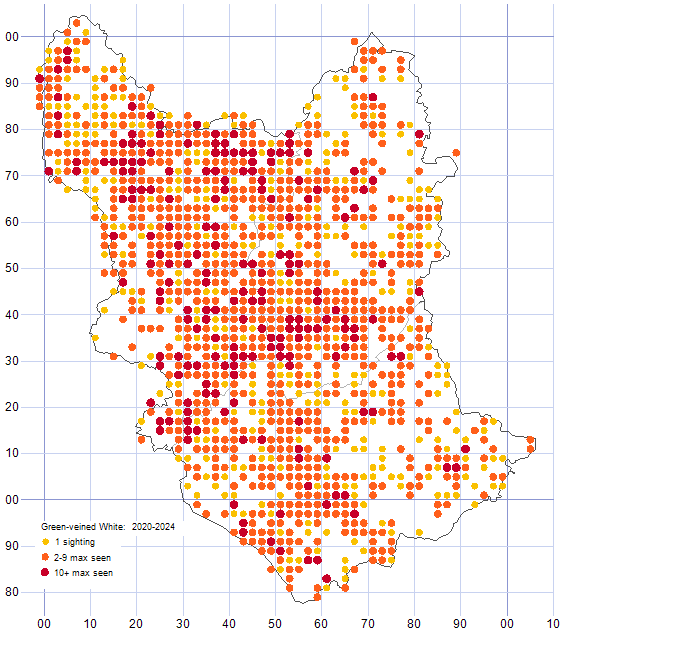 Green-veined White distribution map 2020-24