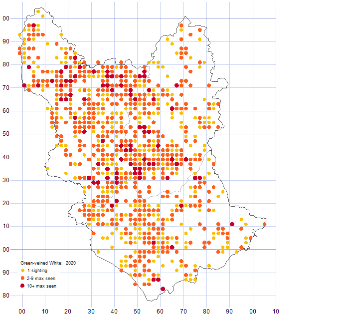 Green-veined White distribution map 2020