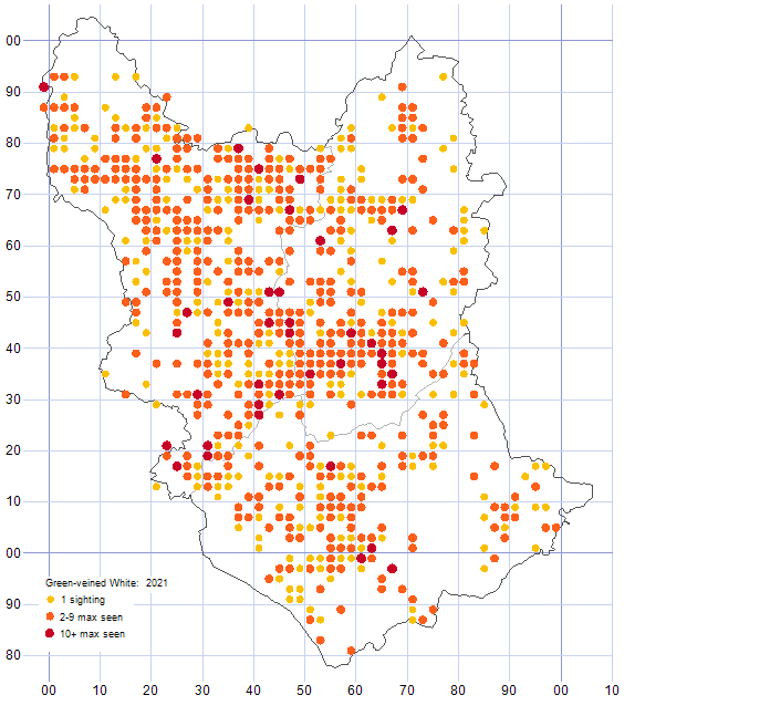 Green-veined White distribution map 2021